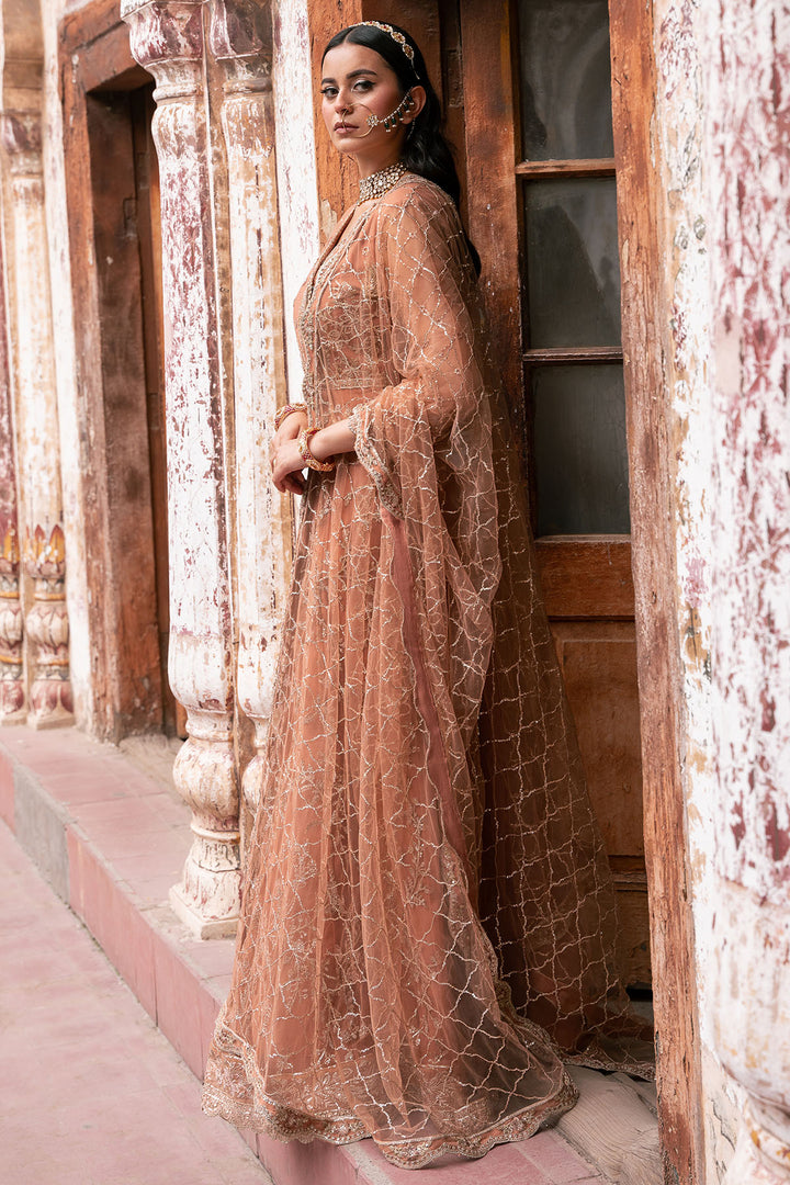 4820-MANHA EMBROIDERED SILK NET UNSTITCHED