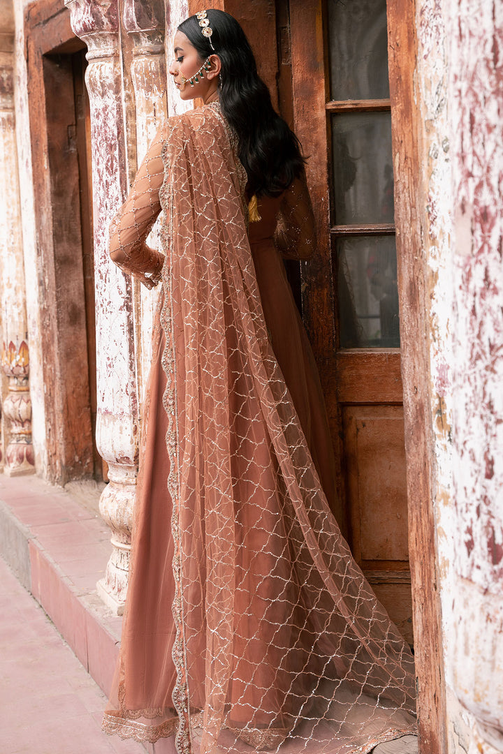4820-MANHA EMBROIDERED SILK NET UNSTITCHED