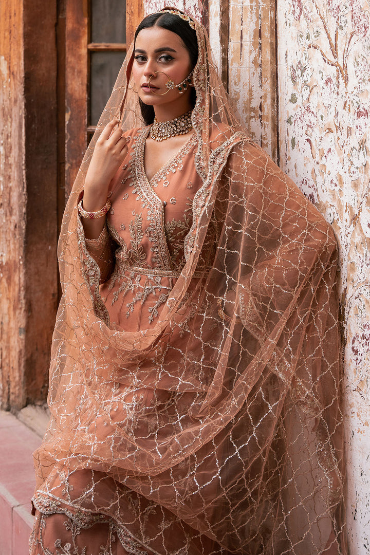 4820-MANHA EMBROIDERED SILK NET UNSTITCHED