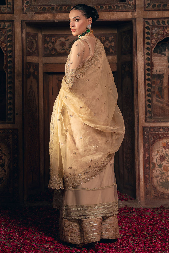 4821-SHERBANO EMBROIDERED SILK NET UNSTITCHED