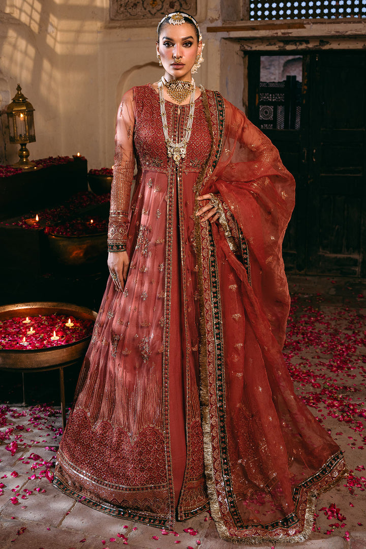 4830-RINAZ EMBROIDERED SILK NET UNSTITCHED
