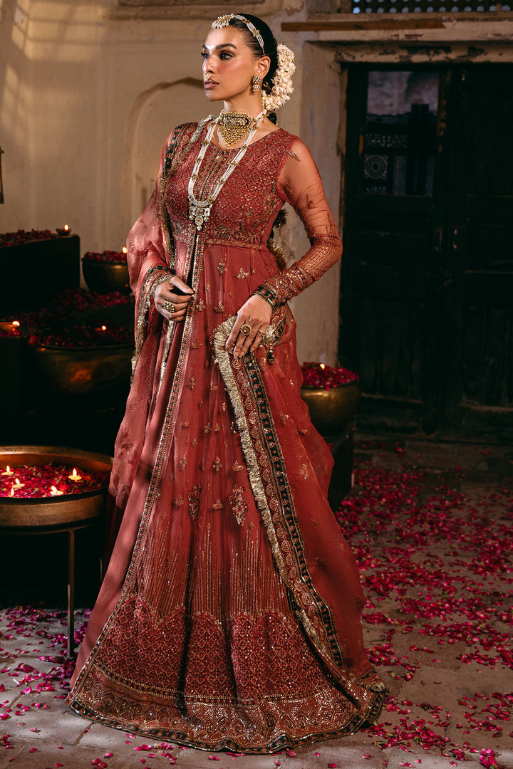 4830-RINAZ EMBROIDERED SILK NET STITCHED