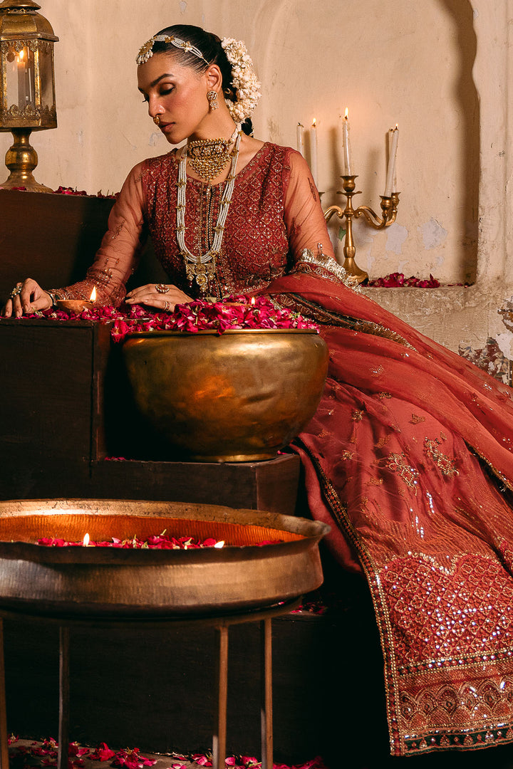 4830-RINAZ EMBROIDERED SILK NET UNSTITCHED