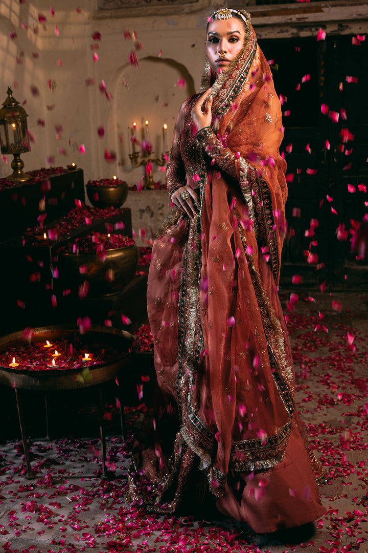 4830-RINAZ EMBROIDERED SILK NET UNSTITCHED