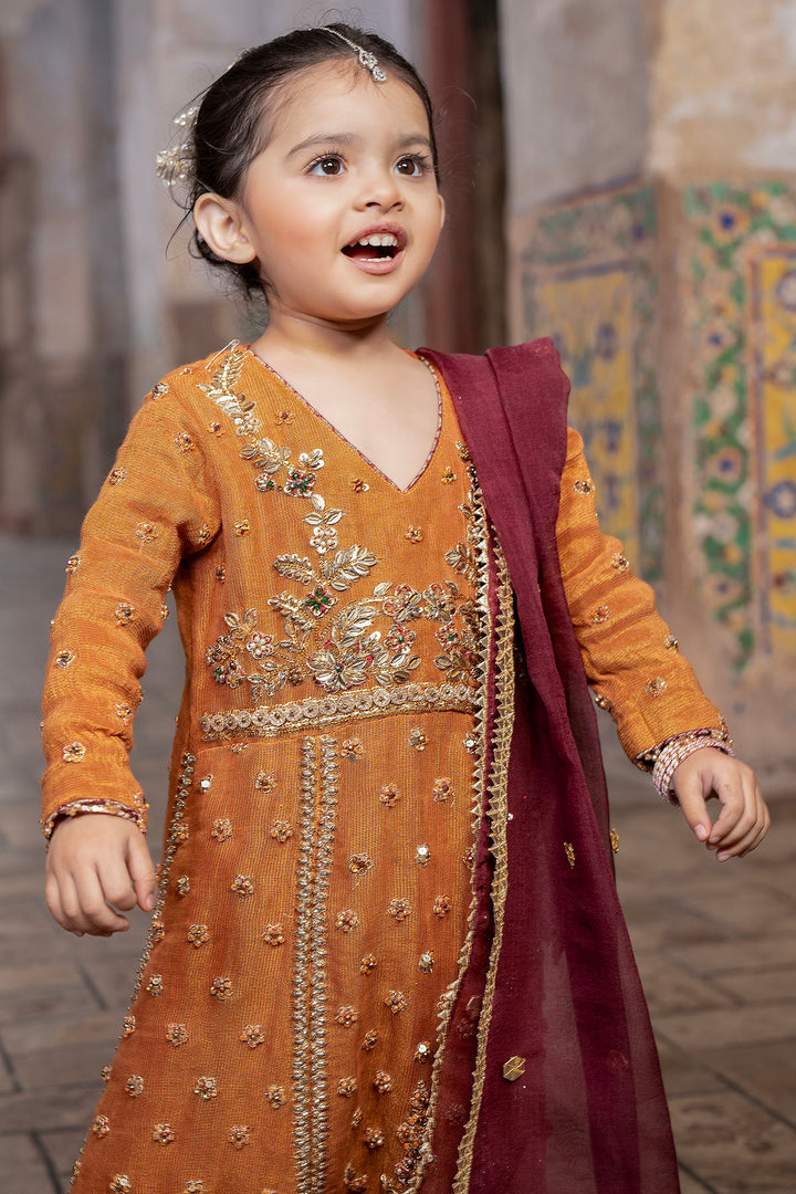 0042-OMA HAND EMBELLISHED COTTON ZARI STITCHED