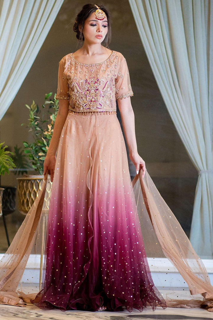 0060-STAR DUST EMBROIDERED SILK NET STITCHED