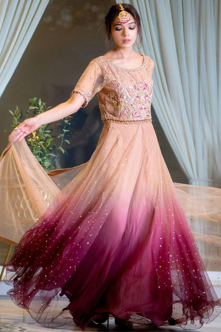 0060-STAR DUST EMBROIDERED SILK NET STITCHED