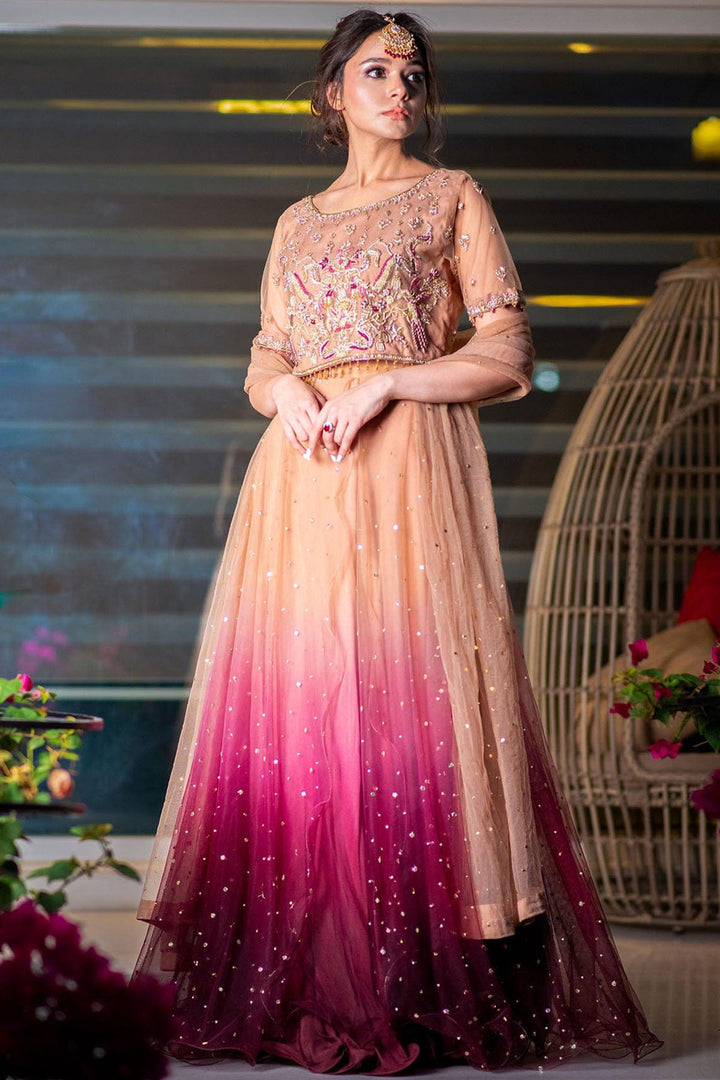 0060-STAR DUST EMBROIDERED SILK NET STITCHED