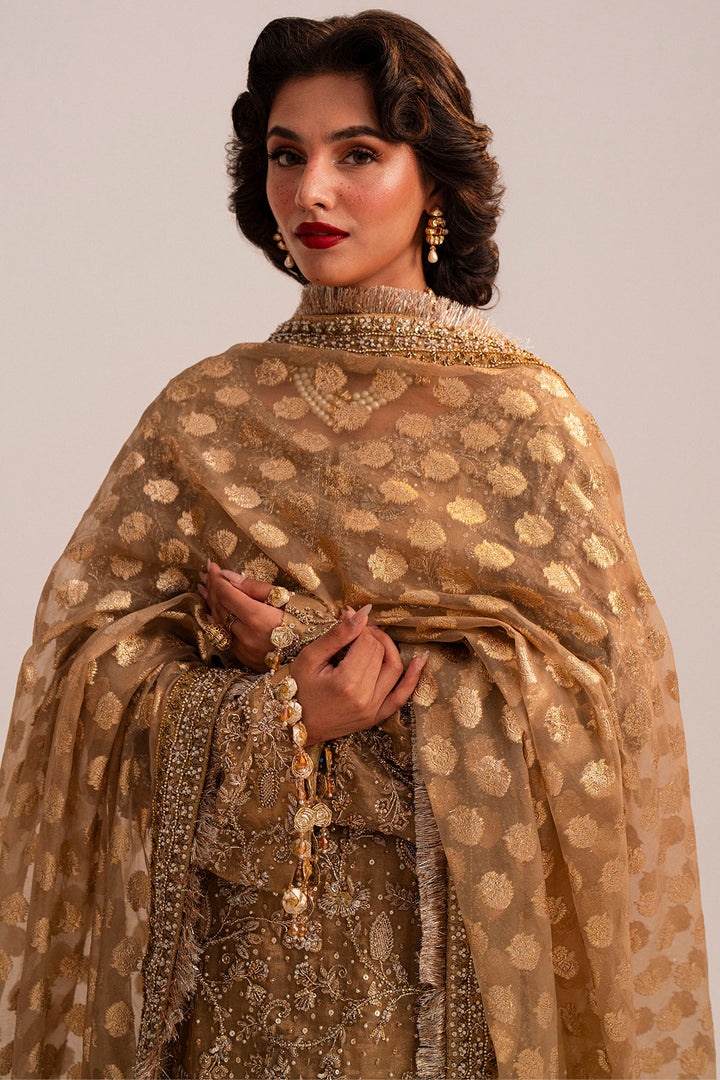 0094-SHAHAR-BANU HAND EMBELLISHED TISSUE STITCHED