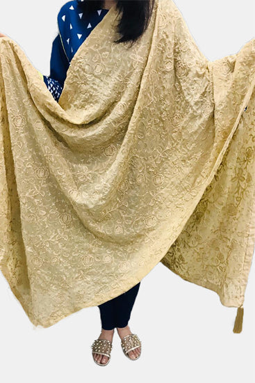 2325 BEIGE EMBROIDERED CHIFFON SHAWL