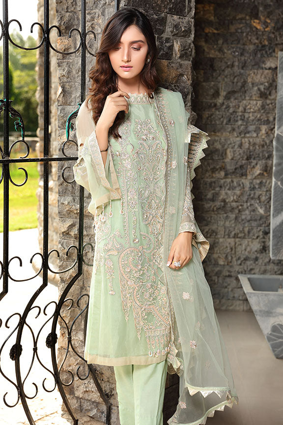 2291-APPEARING EMBROIDERED BEMBERG CHIFFON UNSTITCHED
